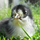 zhaohongpeng's avatar